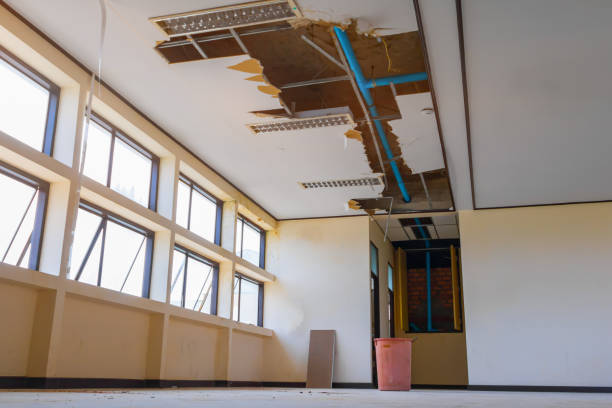  Mount Vernon, WA Water damage restoration Pros