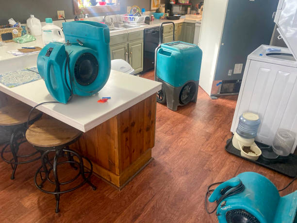 Best Fire Damage Restoration  in Mount Vernon, WA