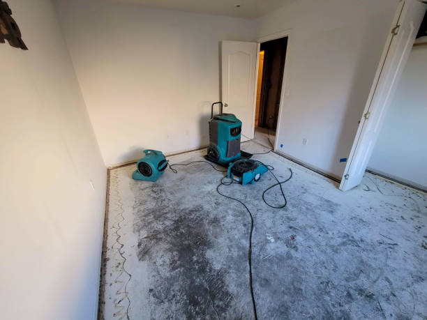 Best Water damage restoration near me  in Mount Vernon, WA