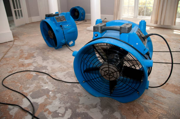 Best Flood damage cleanup  in Mount Vernon, WA