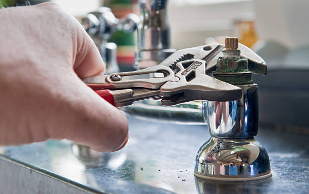 Best Ceiling water damage repair  in Mount Vernon, WA