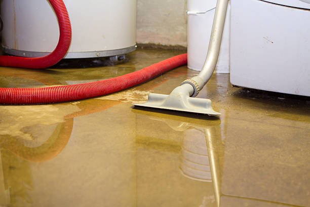 Best Water damage cleanup near me  in Mount Vernon, WA