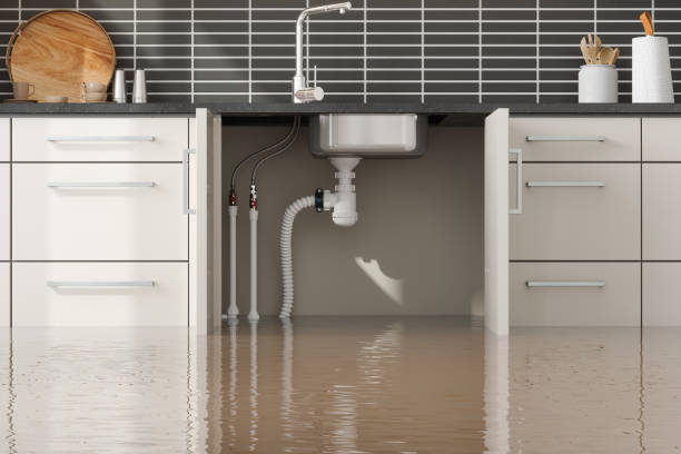Best Mold removal after water damage  in Mount Vernon, WA