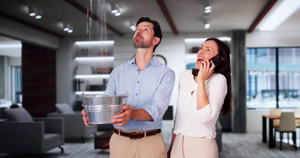 Best Local water damage restoration  in Mount Vernon, WA